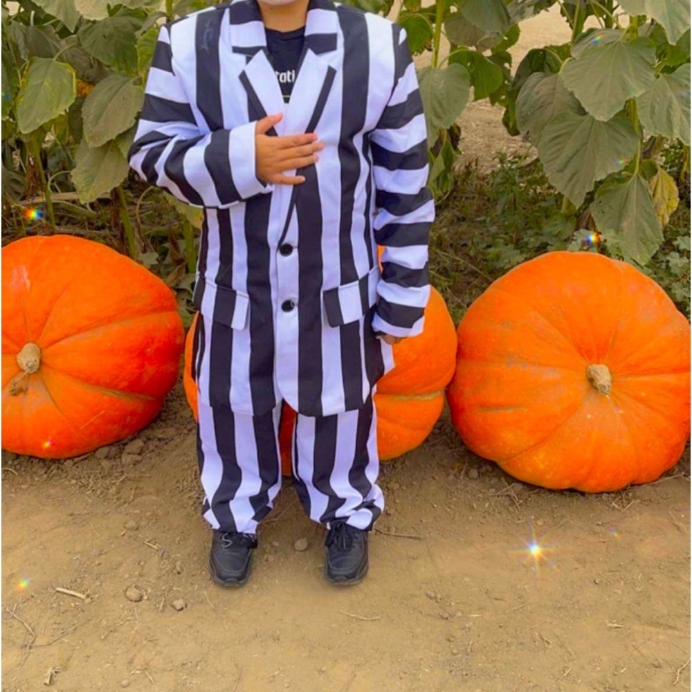 Beetlejuice costume includes wig Size 12-14 Big kid